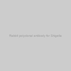 Image of Rabbit polyclonal antibody for Shigella